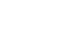 資金